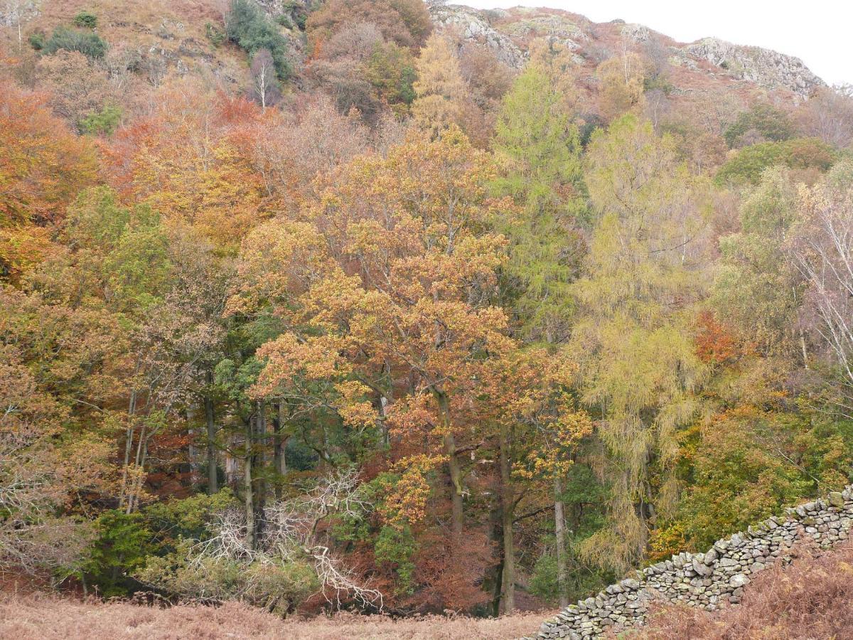 Beech Villa Ulverston Luaran gambar